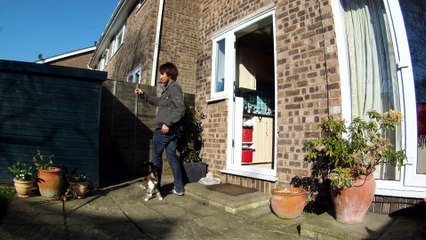 Gravity Defying Cat - The Slow Mo Guys