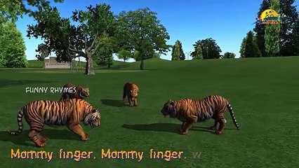 animals Finger Family Nursery Children animated Rhymes | 3d Animals Collection