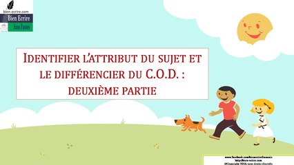 Identifier l'attribut du sujet et le différencier du COD : deuxième partie
