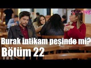 Çilek Kokusu 22. Bölüm - Burak İntikam Peşinde Mi?