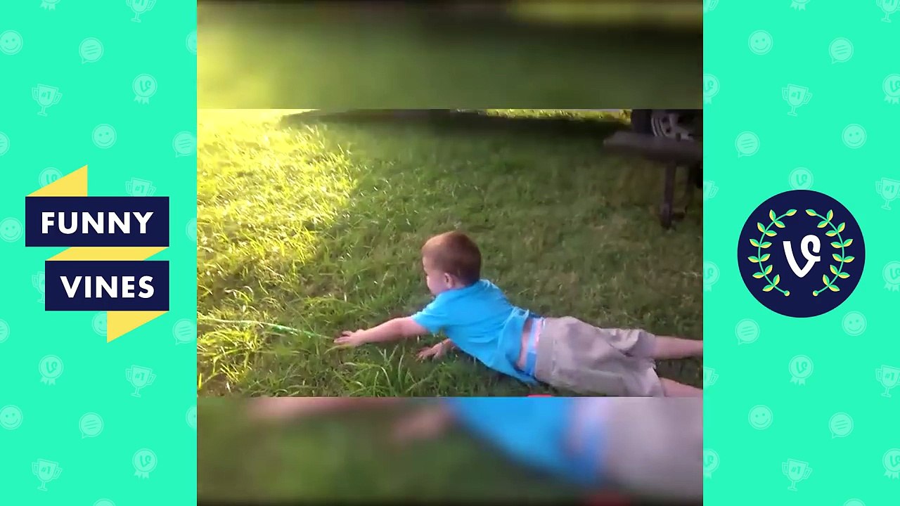 Funniest Animal Fails of 2016 Weekly Compilation | Funny Vines