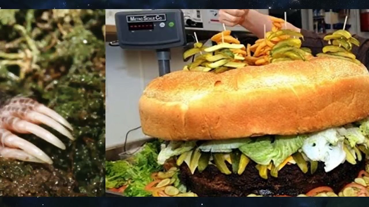 10 Abnormally Large Things That Actually Exist