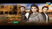 Saya e Dewar Bhi Nahi Episode 17 Promo HD HUM TV Drama 30 November 2016