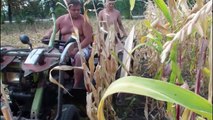 Primitive Technology vs World Modern Agriculture Progress - Mega Machines