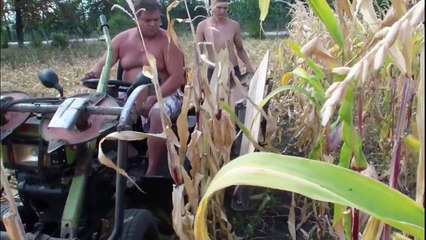 Primitive Technology vs World Modern Agriculture Progress - Mega Machines