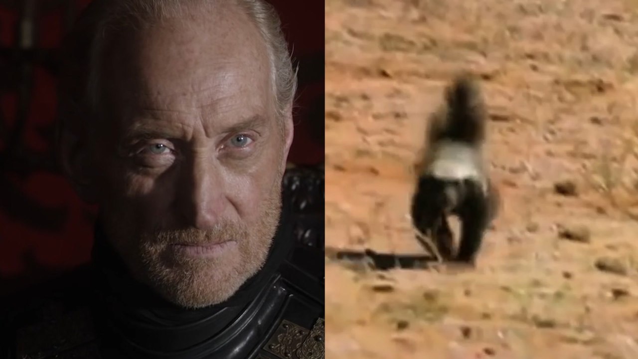 Charles Dance's 'honey badger' impression is all you need