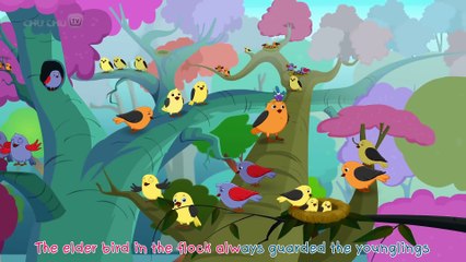 Birds & Hunter - Bedtime Stories for Kids in English - ChuChu TV Storytime