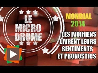Les Ivoiriens jugent Drogba et les Éléphants au mondial 2014