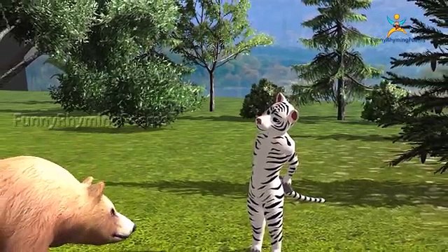 Bear Finger family 3d rhyme | Animated Nursery Children Finger Family song