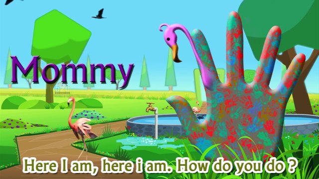 Pink Flamingo Finger Family Song || Dady Finger Nursery Rhyme ||Ozu Animal Finger Family Rhymes