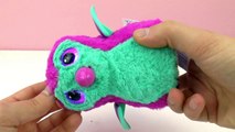 HATCHIMALS magisch ei wil spelen! | SPELEN MET GRAPPIG HATCHIMALVOGELTJE!