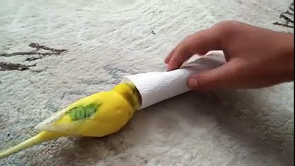 Triste historia de amor.