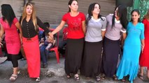 Suriye Kızlarından Arap Halayı