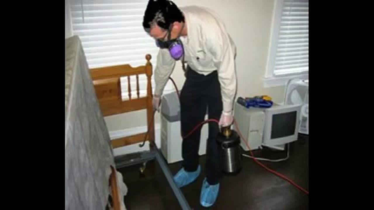 Bed Bug Heat Treatment Toronto Kill bed bugs with heat for good