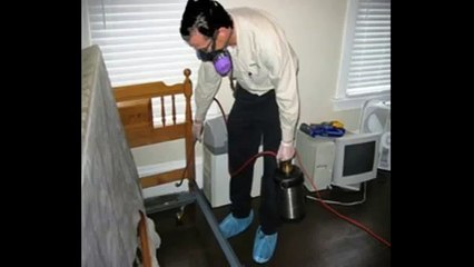 Bed Bug Heat Treatment Toronto Kill bed bugs with heat for good
