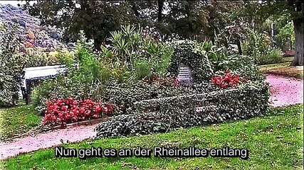 Auf großer Tour durch Boppard – 1