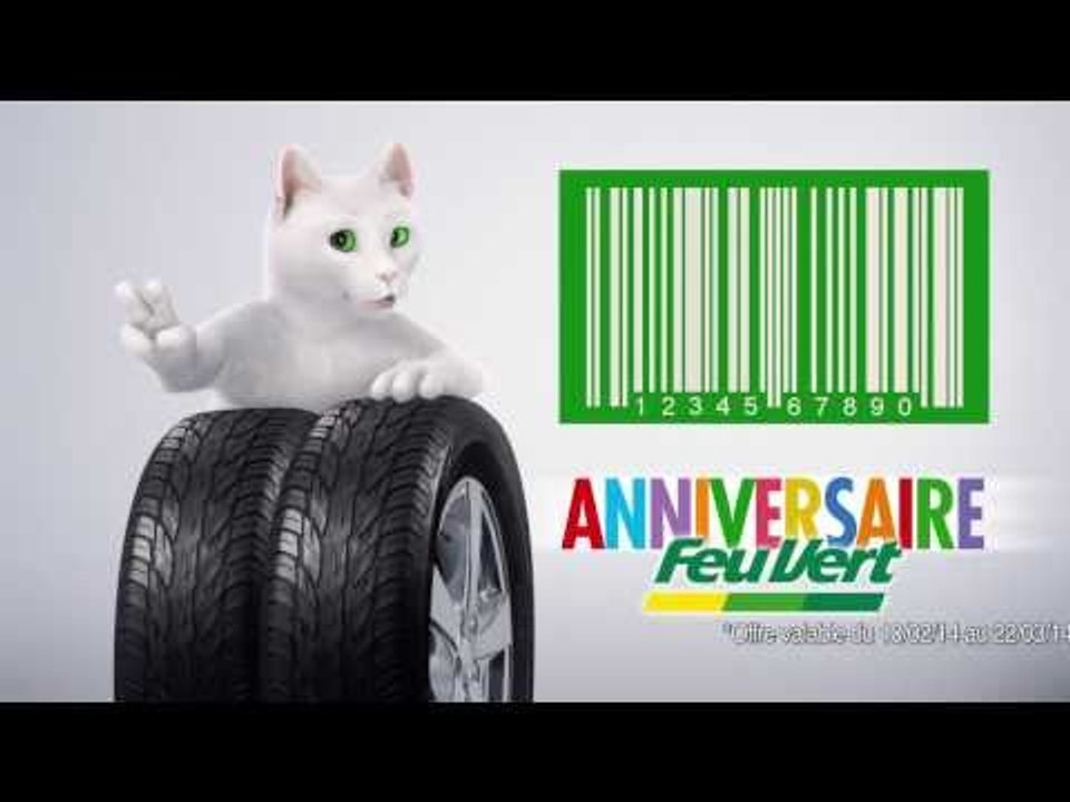 Publicité TV - L'Anniversaire Feu Vert : Par 2, c'est moins cher !  (février 2014)
