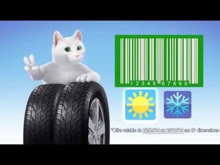 [PUB TV] Pneus Été ou Hiver, par 2, c'est moins cher ! - septembre 2014
