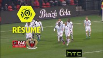 EA Guingamp - OGC Nice (0-1)  - Résumé - (EAG-OGCN) / 2016-17