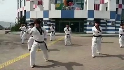 Fly High Show Taekwon 3D Highlight