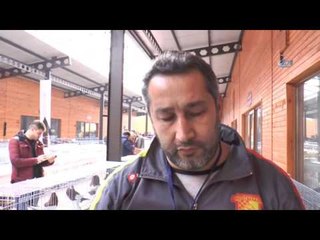 Güvercin güzellik yarışması