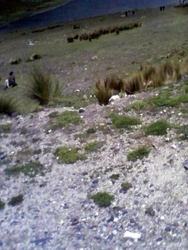 RESERVA NATURAL, HUARAZ, LOS ANDES PERÚ