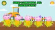 Peppa Pig Sweet Corn Finger Family | Peppa Pig Finger Family Song | Nursery Rhymes Lyrics and More