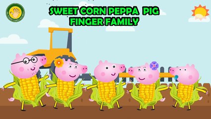 Peppa Pig Sweet Corn Finger Family | Peppa Pig Finger Family Song | Nursery Rhymes Lyrics and More