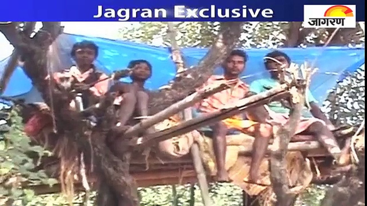 हाथी के आंतक से लोग पेड़ों पर रहने के लिए हुए मजबूर