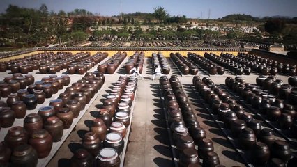 맞춰 겨루기 [Pre-arranged sparring]