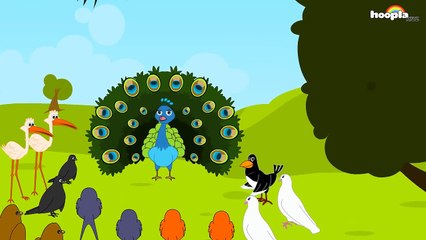 The Peacock and the Magpie - Aesops fables