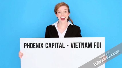 Vietnam Real Estate Market