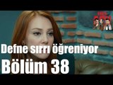 Kiralık Aşk 38. Bölüm - Defne Sırrı Öğreniyor