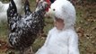 Cute Babies Playing With Chickens - Cutest Babies Videos 2016
