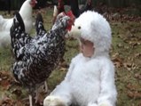 Cute Babies Playing With Chickens - Cutest Babies Videos 2016