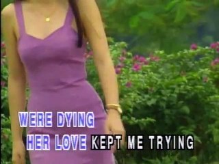 When She Cries - Video Karaoke (Famous-DVD)