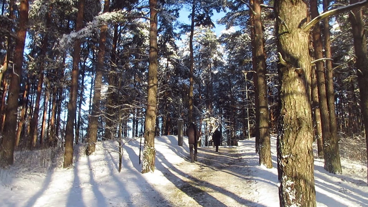 РИга Румбула путь к еврейскому памятнику 29 11 2016 Латвия