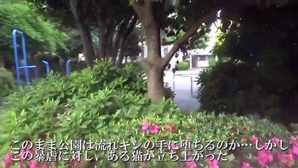 【公園猫戦争】負け猫たち、暴虐の野良猫に対して遂に一矢を報いる Revenge of the the old cat warriors