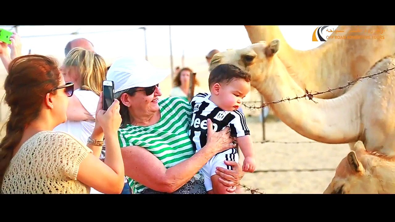 Abu Dhabi Desert Safari, Dune Bashing at Evening