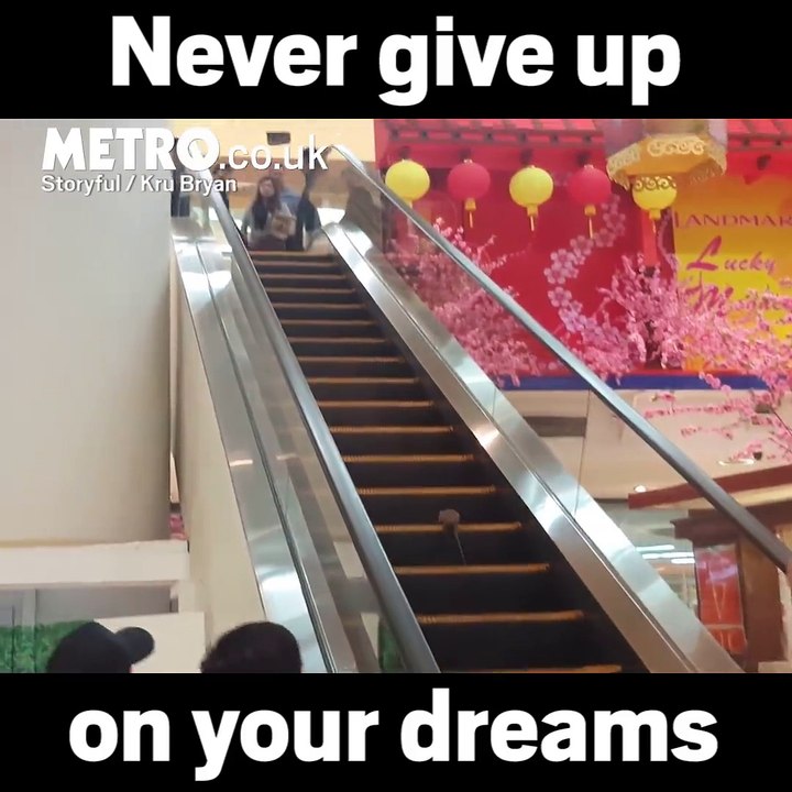 NeVer Give UP- Funny Rat Video-
