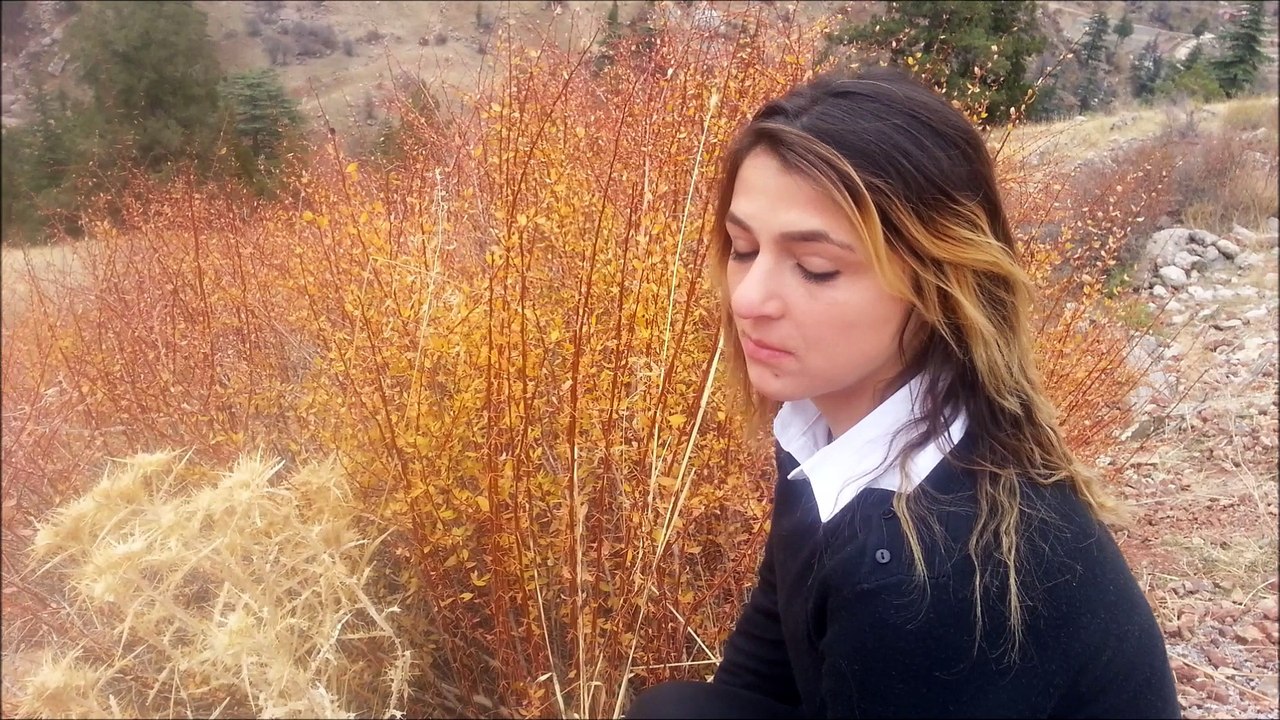 Dj Engin Akkaya ft. Kübra Akkaya - Yalvaracaksın (Club Mix)