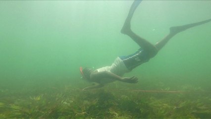 Les océans se vident et les pêcheurs kényans doivent s'adapter