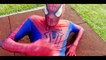 Spiderman Training w_ Superman & Hulk vs Venom & Joker - Superheroes Movie Real Life