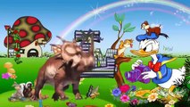 ABC Songs For Kids | Horse Rhymes For Children | ABC Songs | Horse Videos For Children | Horse Rhyme