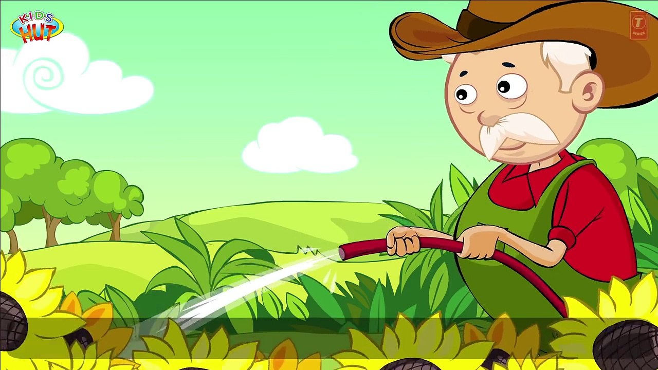 OLD MACDONALD HAD A FARM Nursery Rhyme