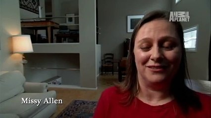 Killer Cat Scratch   Monsters Inside Me