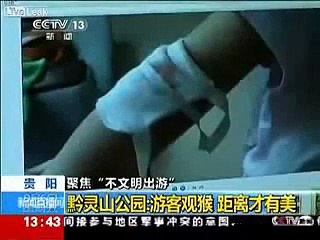 Monkey Attacks Baby and eats his testicles