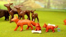 Playmobil Woodland Forest Wild Animals Building Toy Set Build  part3