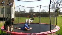 Top 40 WWE HALL-OF-FAMER Finishers on Trampoline