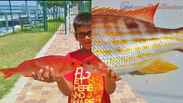 Gulf Shores Deep Sea Fishing